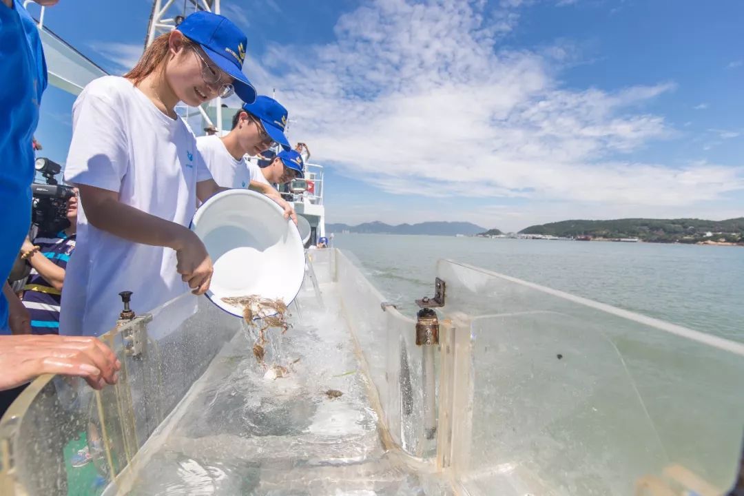 考研成功率100的学校,考研率最高10大专业