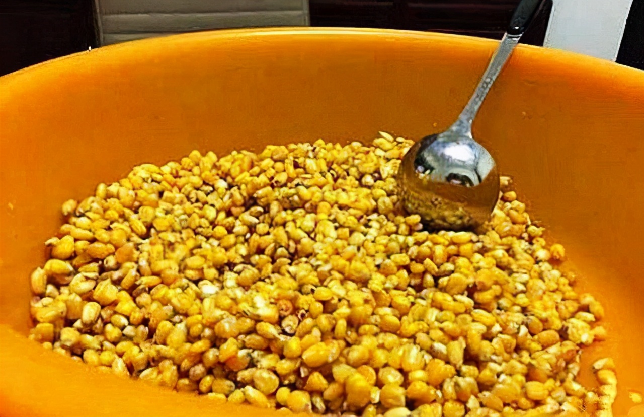 鱼儿吃饵料不咬钩是什么原因,鱼儿吃不饱会怎么样