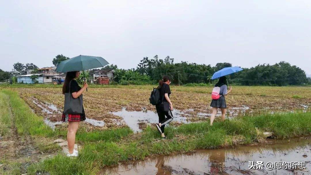 农村道路修路的最新政策,要想富先修路带来的好处