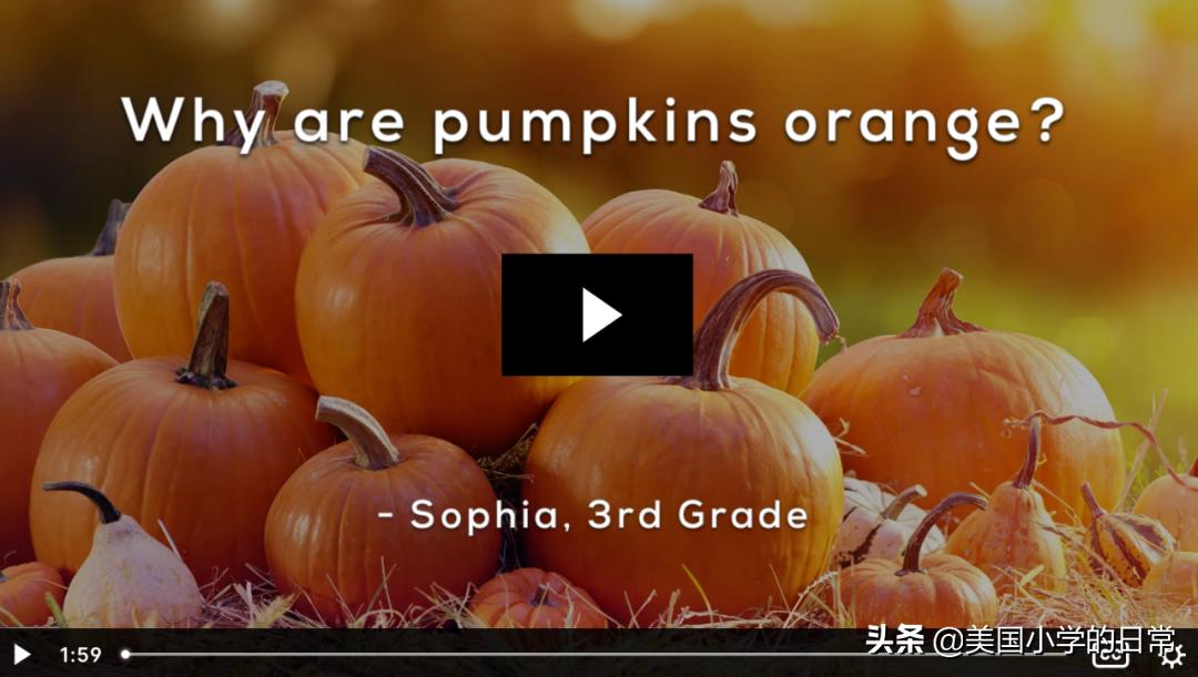 一个南瓜引发的学习激情，为何让美国孩子如此着迷？