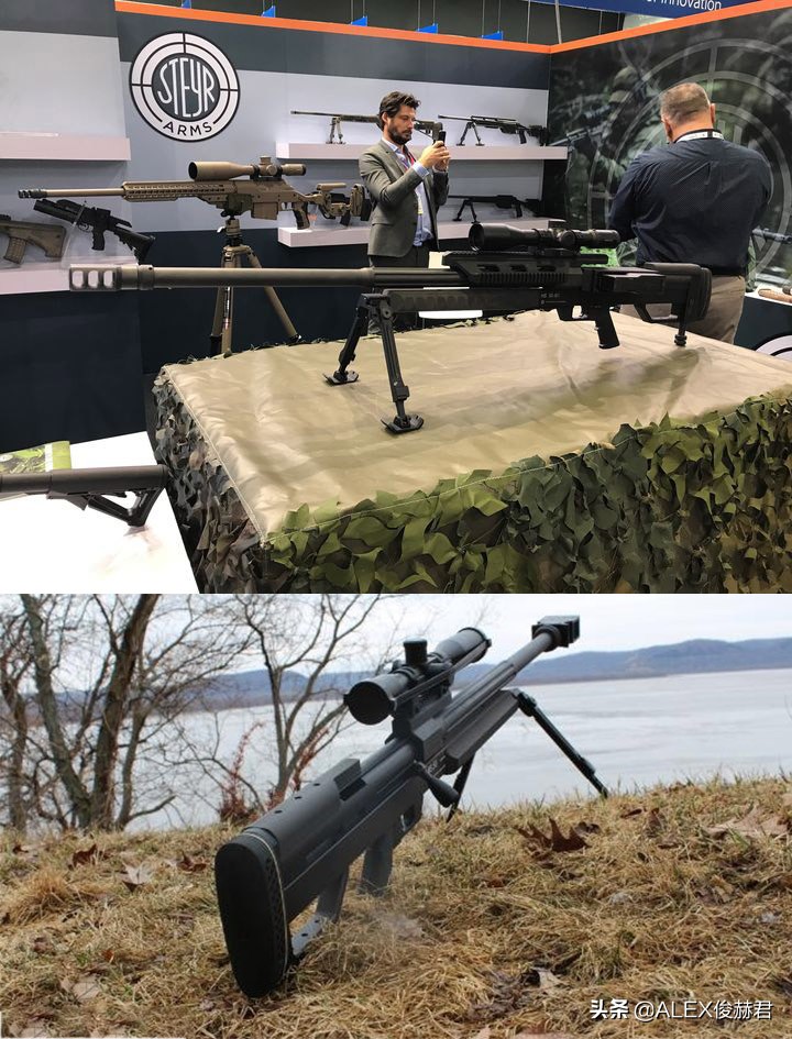 最大口径大象步枪,步枪大象