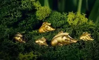 大家庭过年热门话题,过年时家分为几个区域