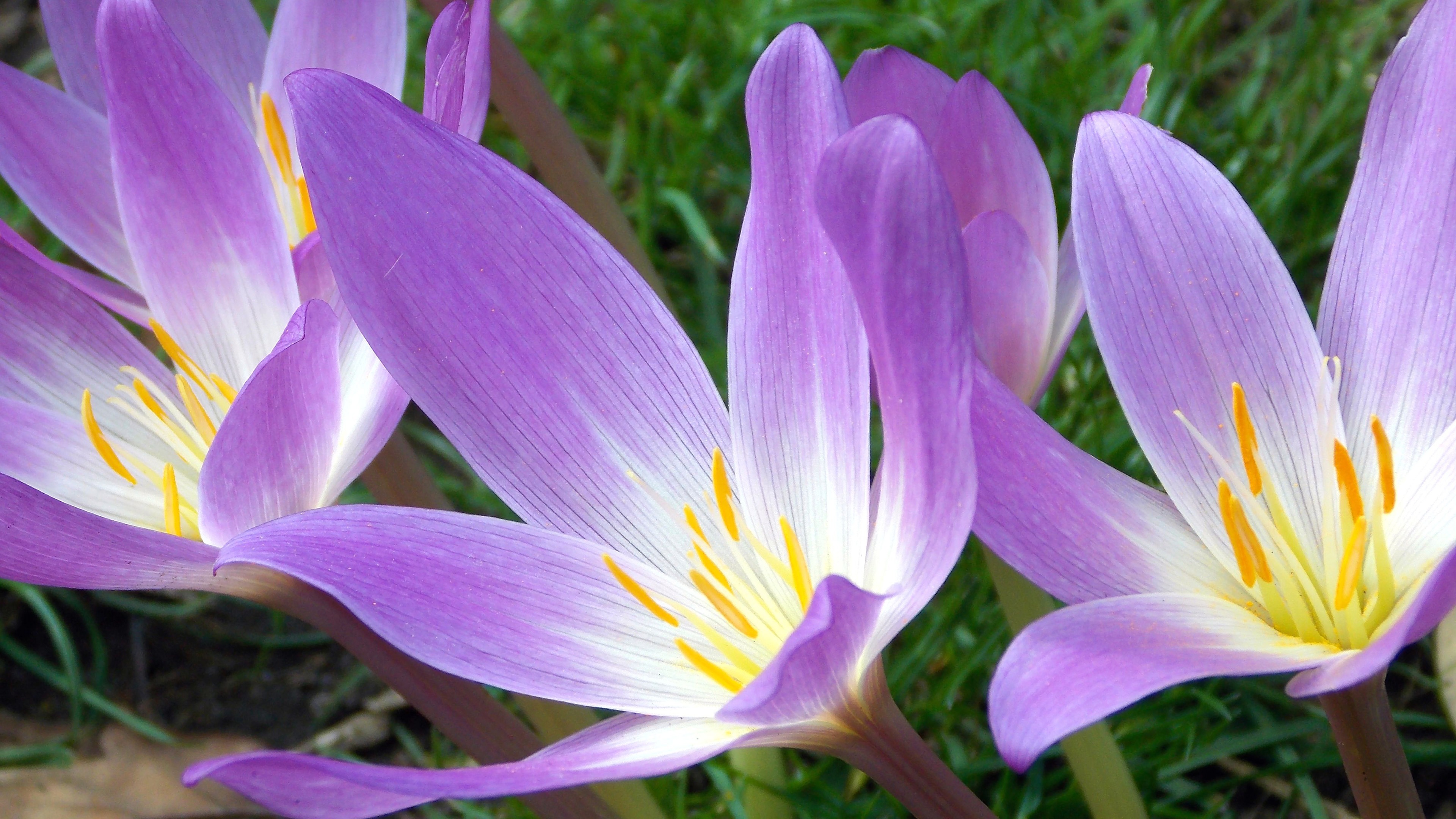 ​6月15日星座运势：巨蟹独立自主，天蝎集思广益，双鱼坚持到底