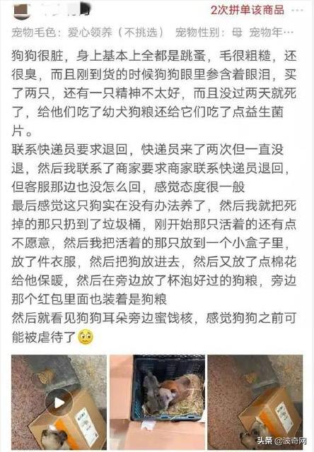 活体宠物塞入“盲盒”，拆开后是狗狗尸体！卖家：玩不起别买