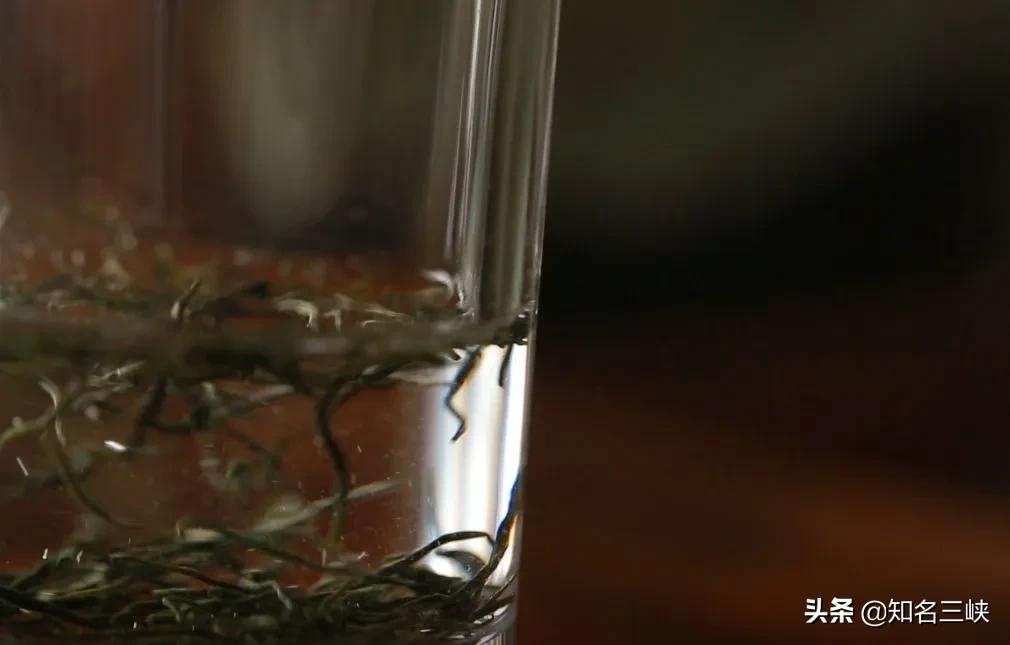 绿茶三种泡法茶艺教学完整版,绿茶泡茶的正确方法和时间