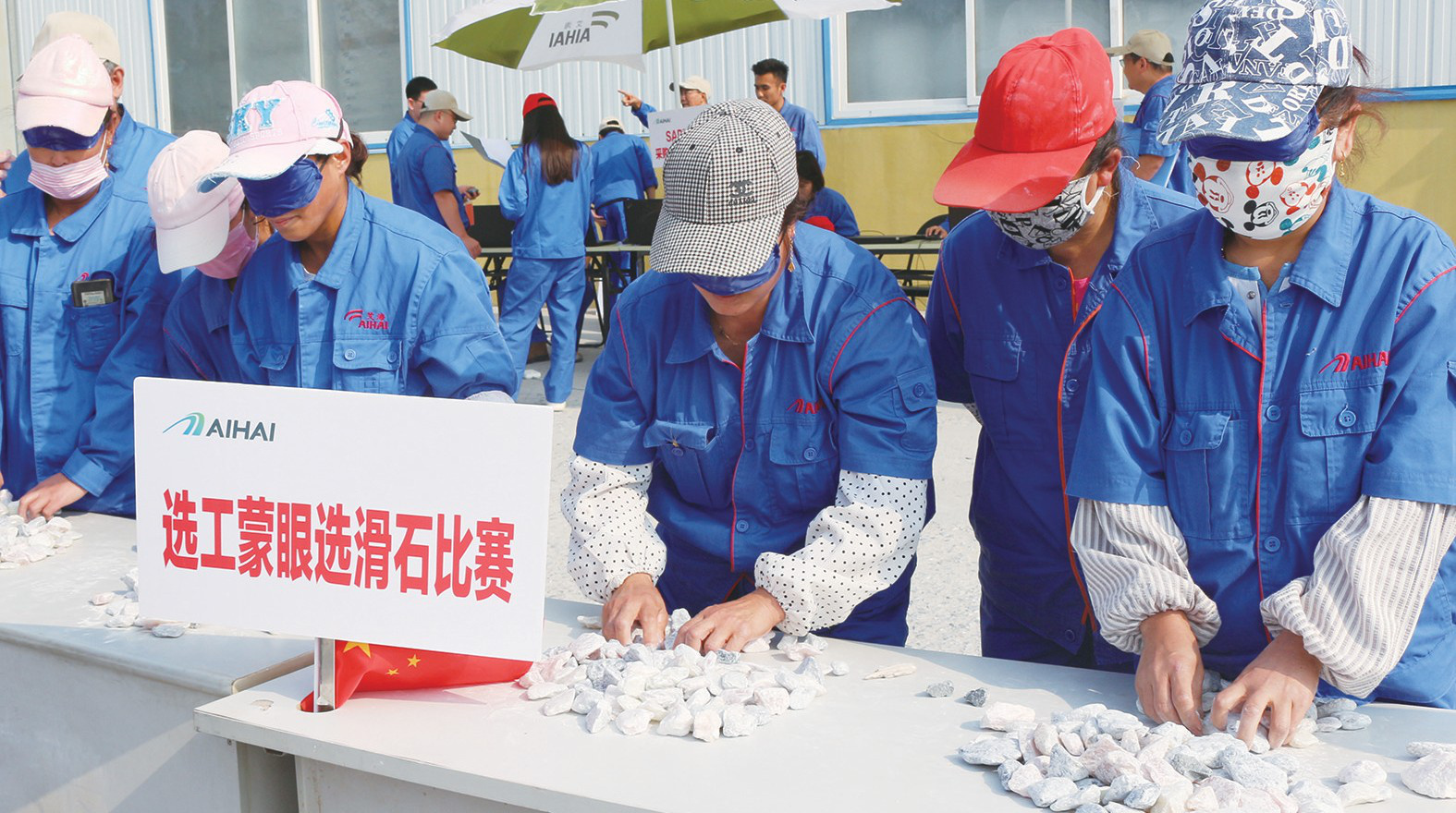 辽宁艾海滑石公司都有多少部门,辽宁艾海滑石有限公司吨袋