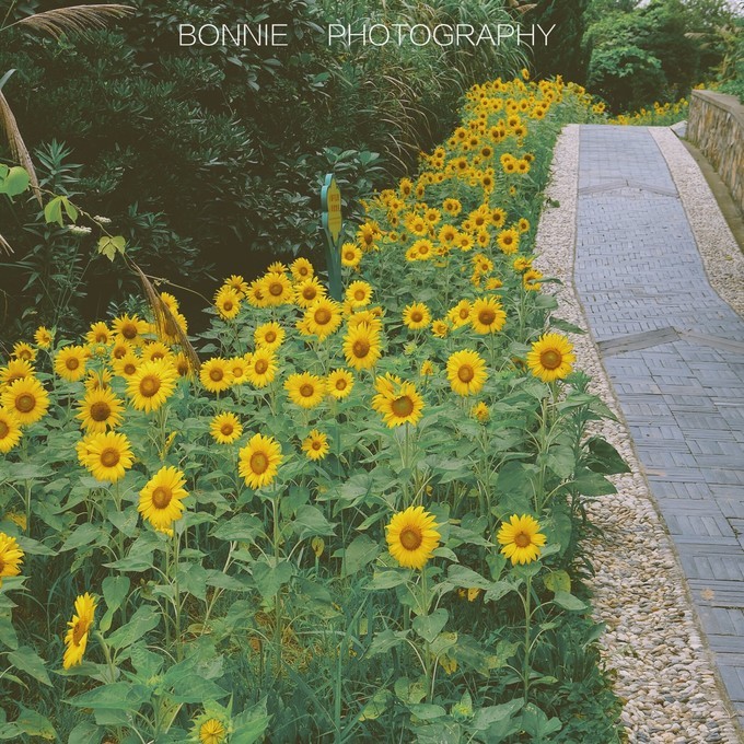 嵊泗列岛3天2夜攻略,嵊泗本岛三天两夜自由行攻略