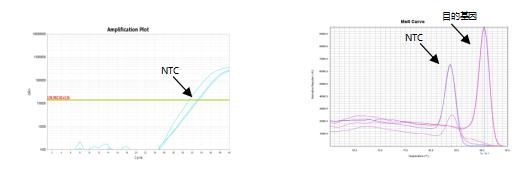 qpcr难点,qPCR常见问题及解决方案