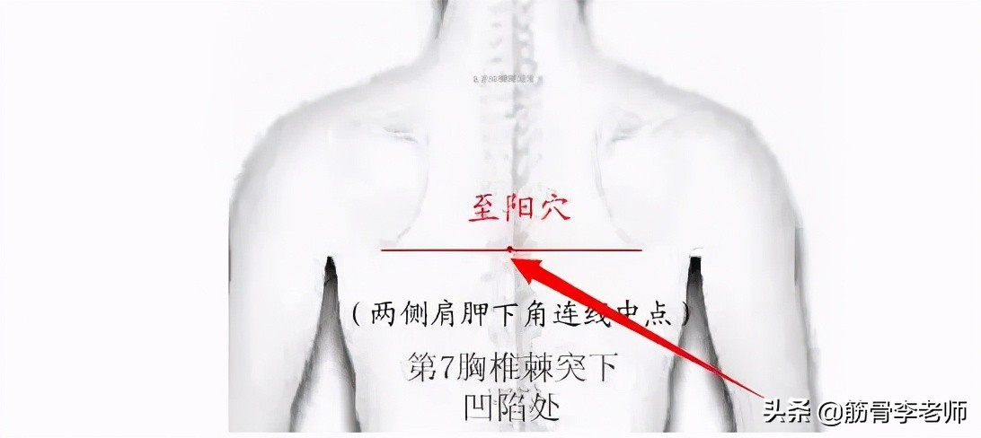 晒后背挑战,三伏天晒背胜人参