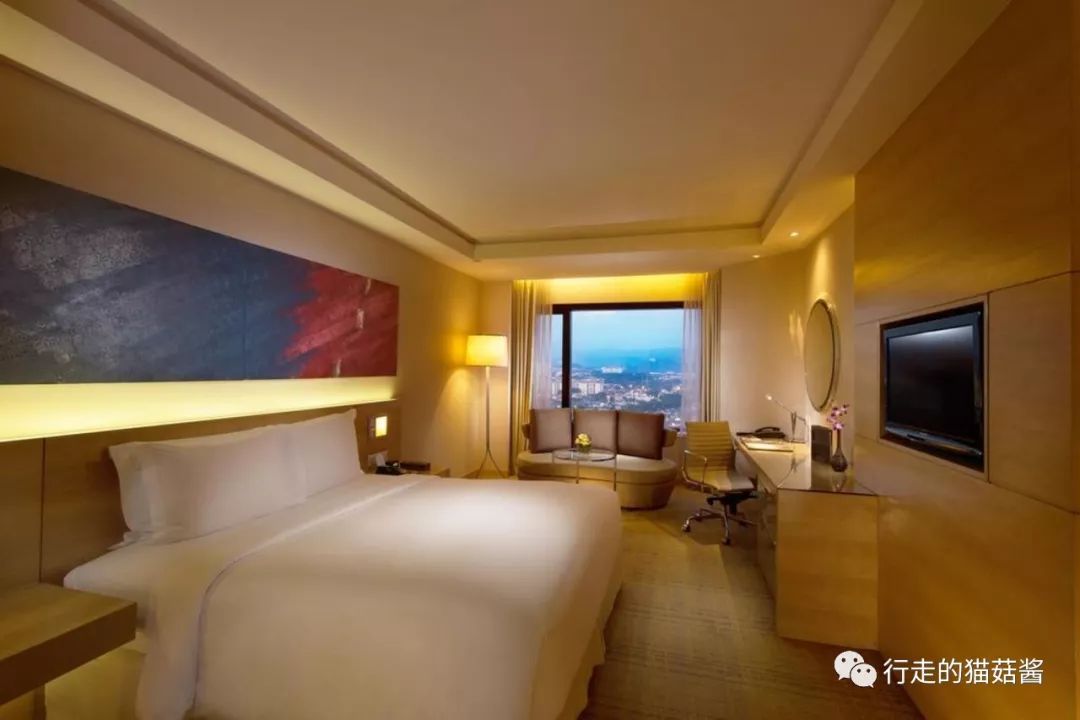 马来西亚吉隆坡自由行热门攻略,马来西亚吉隆坡旅游需要什么条件