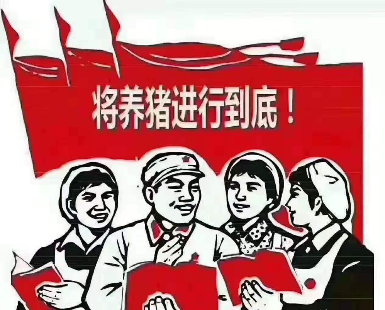 猪场用药十大黄金法则