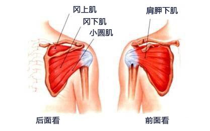 打球后肩膀痛怎么缓解,打球肩膀疼一招搞定
