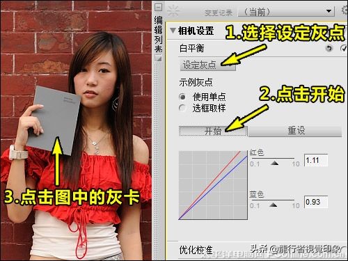 cameraraw曲线详解教程,鹏凰视界cameraraw系列教程