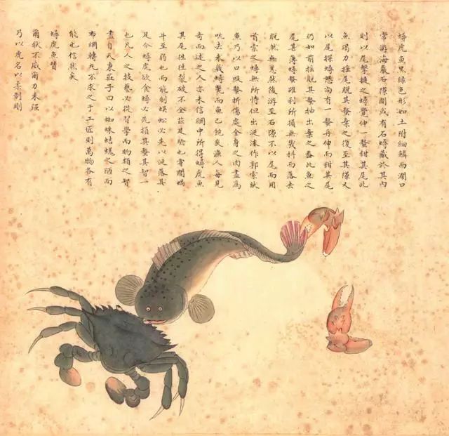 清代海错图有用吗,故宫海错图展