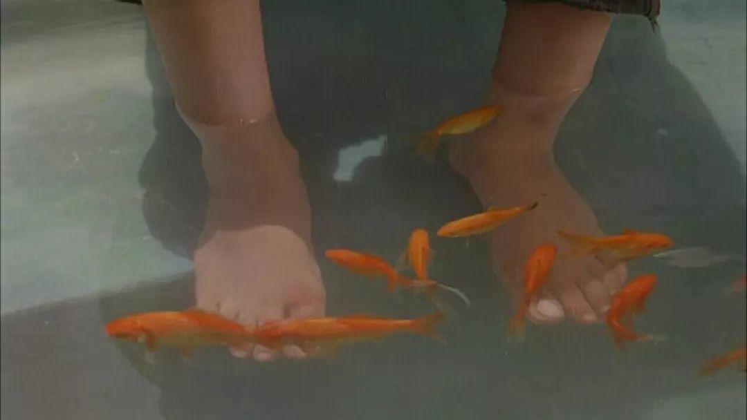 6部极具教育意义的电影,6部激励孩子坚强的电影