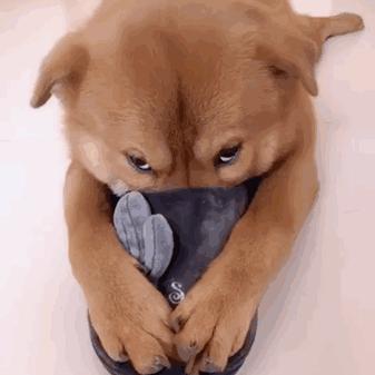 学会这招不愁找不到女朋友,学会这几招不怕找不到女朋友