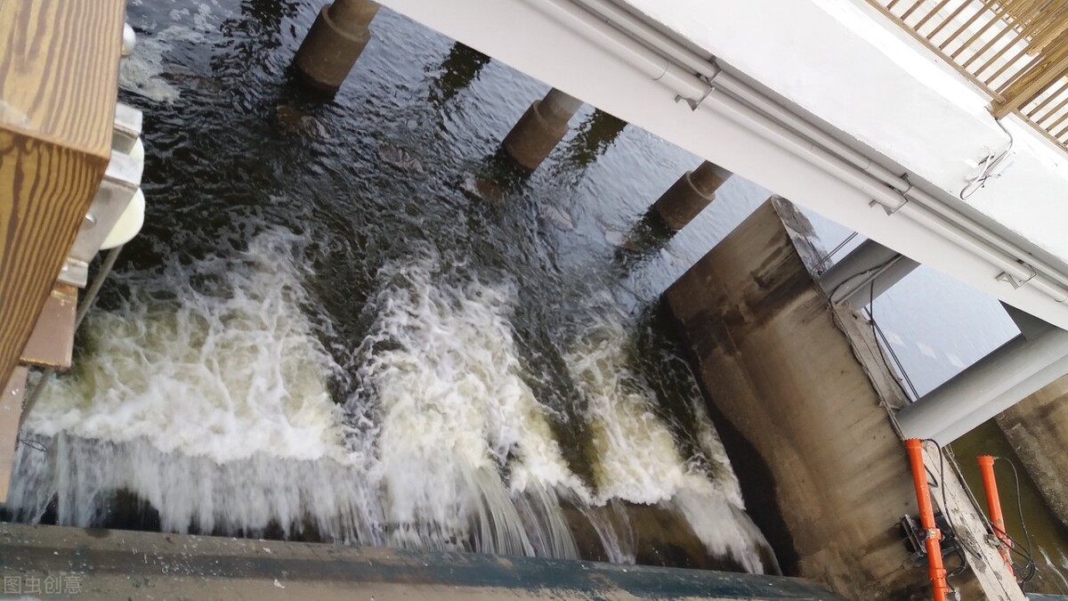 下雨过后钓鲶鱼最好的钓点,钓鲶鱼的神仙钓点在哪里
