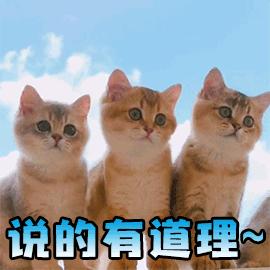 景甜倪妮同台2019年,景甜倪妮同台2019