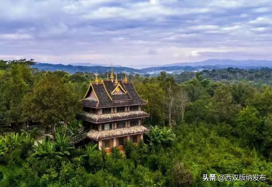 勐海旅游攻略自由行路线图,中国旅游日云南西双版纳