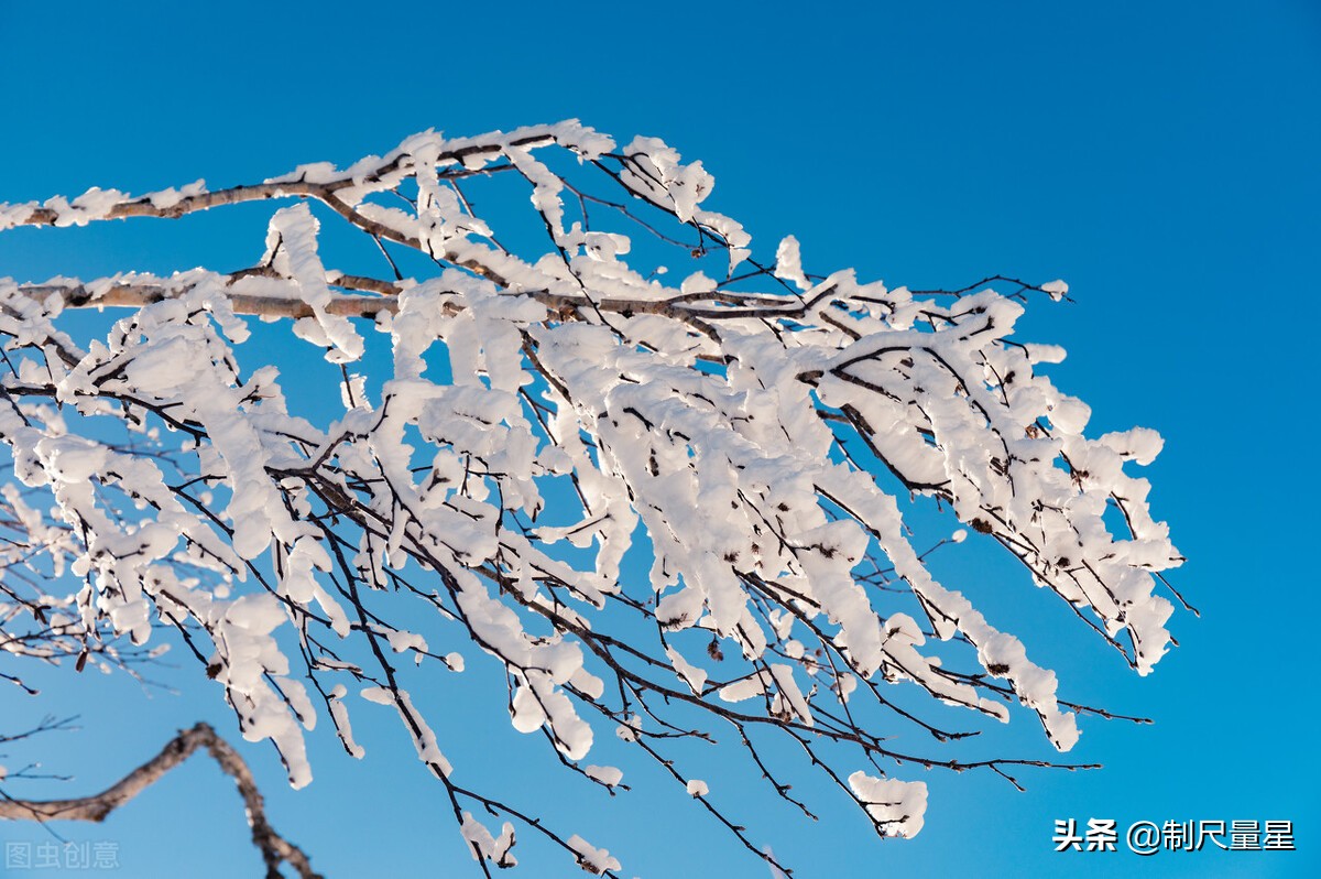 暮虎识香421章,暮虎识香156章