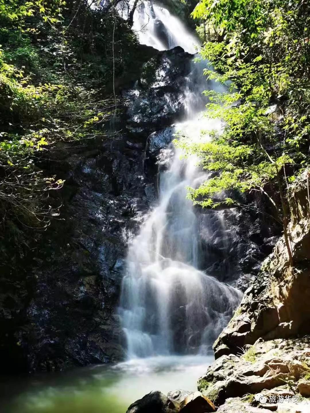 春风十里不如你，我在华安等着您