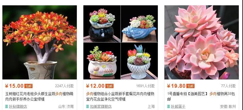 不补单怎么做淘宝,淘宝花店运营模式