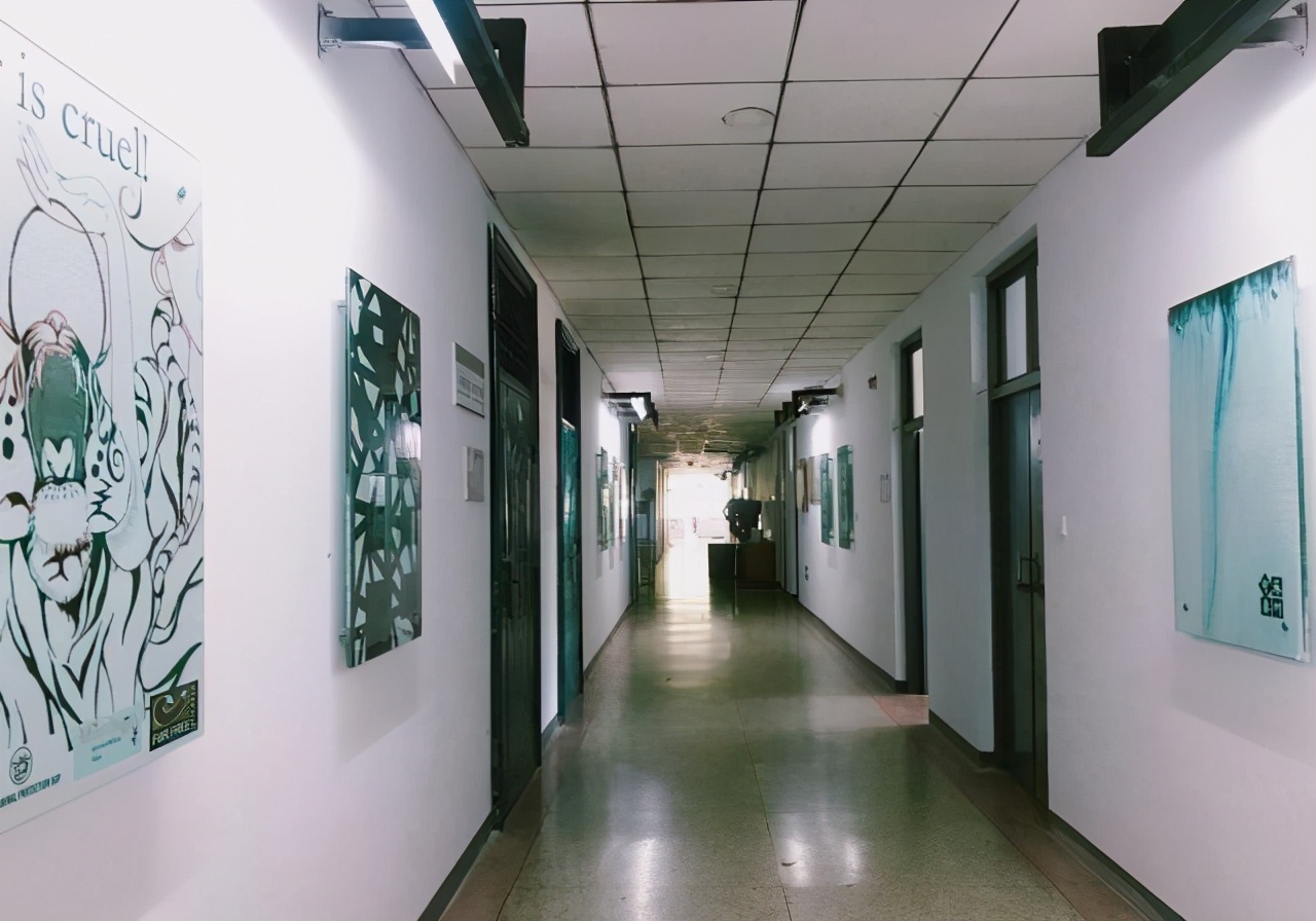 我眼中的石家庄学院,石家庄学院的发展历程