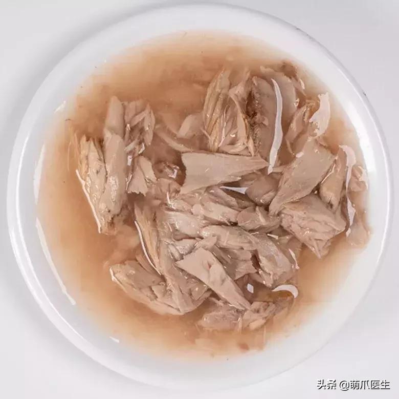 猫咪天天跑去喂鱼,猫咪不吃东西喝汤能喝饱吗