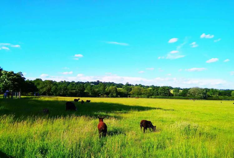 伦敦六月小说,六月的伦敦什么季节