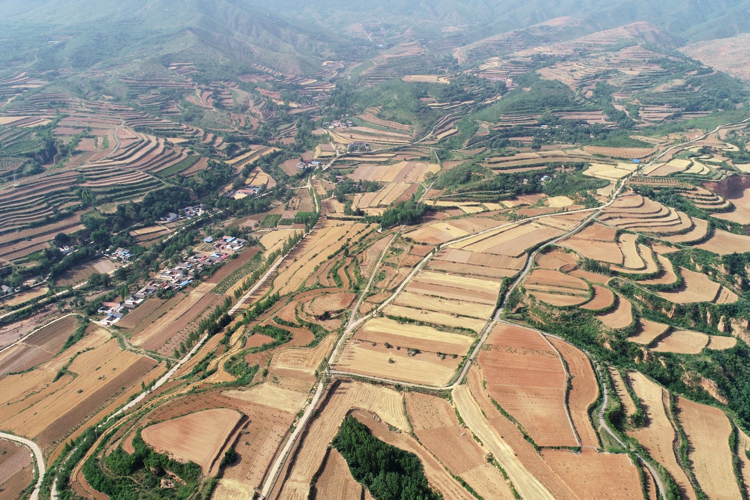 割麦神器大全视频,农民割麦用什么神器