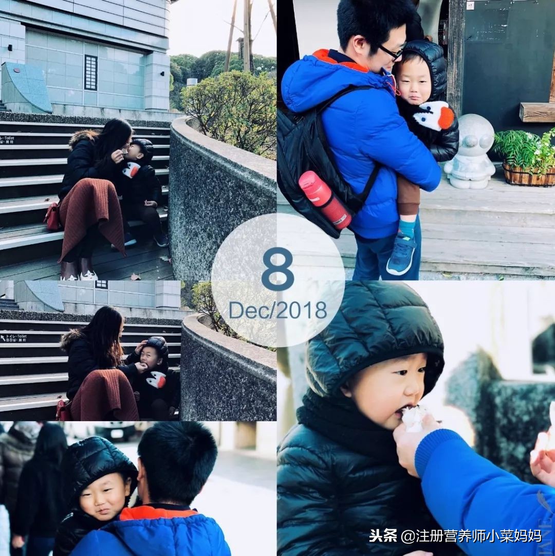 量子号航线攻略,量子号最全攻略