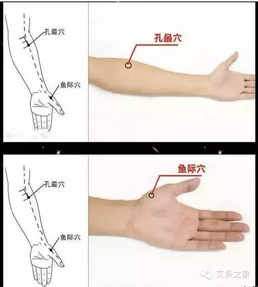 手上有个补肾穴|自己动手学经络