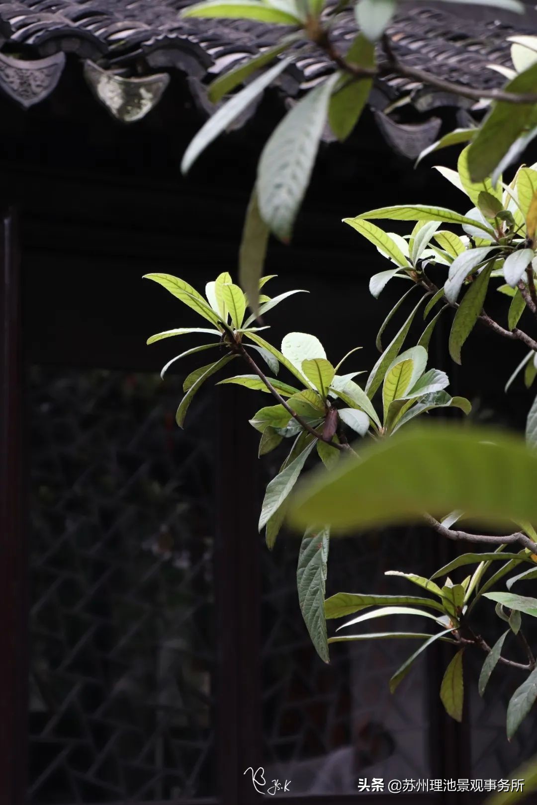 给我讲解一下拙政园的来历,拙政园最完整的讲解