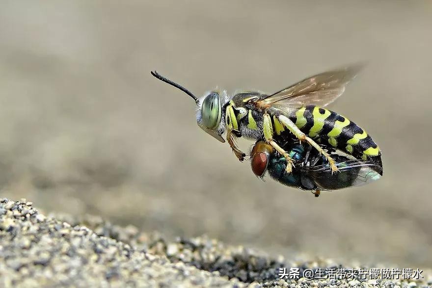 最震撼的34张照片美遍朋友圈,500张最美照片