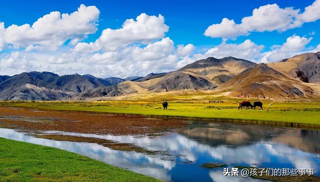 青春的迷茫电影,青春的迷茫小说