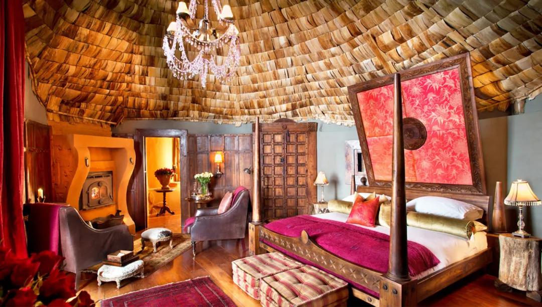 世间稀有的白色长颈鹿母子，在非洲被残忍猎杀，发现时只剩骨骼