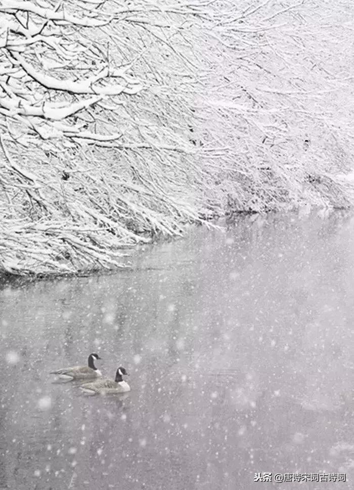 一场大雪洋洋洒洒而来,带雪的唯美唐诗宋词