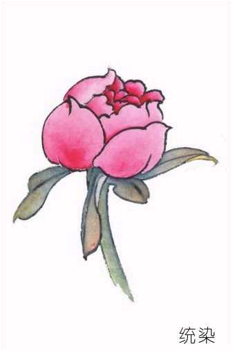工笔画染染的正确方法,工笔画的分染步骤与技巧知识