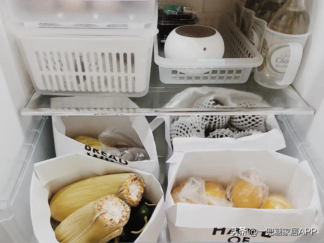 被冰箱PUA的年轻人：“妈！救救我吧！”