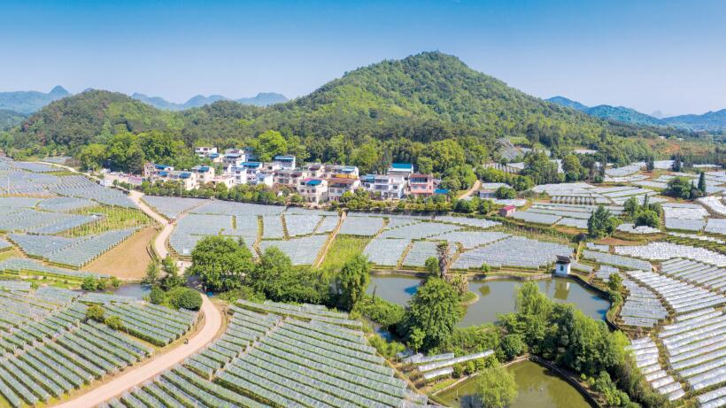 广西乡村振兴人才培养计划,广西推动乡村人才振兴若干措施