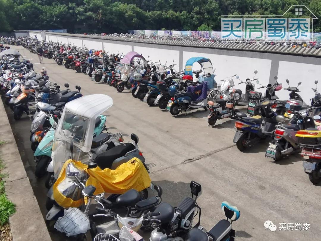 夹缝中的生存状态,夹缝中的生活