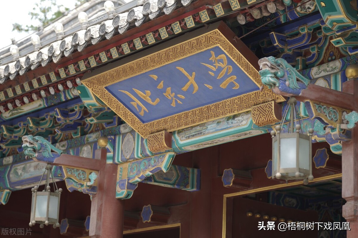 从盗猎者手里买动物放生,从盗墓者手中抢出的国宝玉器