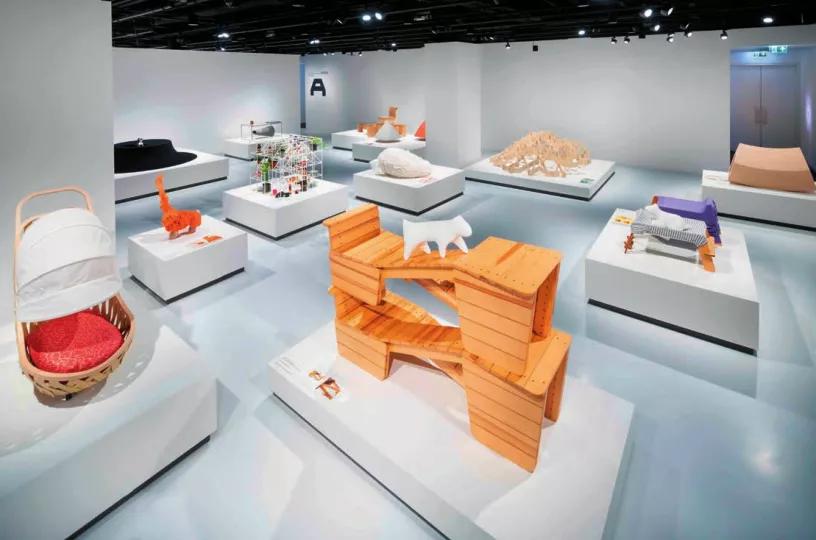 为了养狗装扮了一个房子,为狗狗设计的房子