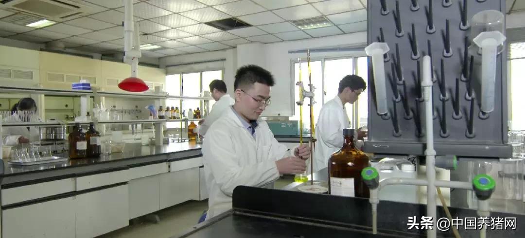 双胞胎饲料评价怎样,双胞胎饲料厂生产技术怎么样