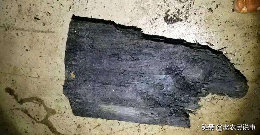 俗语：宁烧紫檀，不舍阴沉木，为啥？阴沉木很贵吗？如何辨真假？