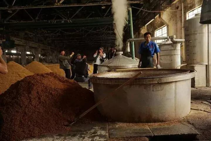 河南杜康酒业官网,豫酒振兴宝丰酒厂