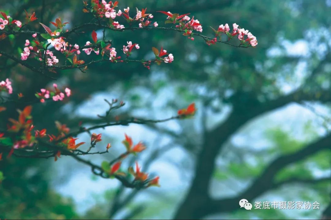 最新风景摄影小品欣赏,娄底景观小品