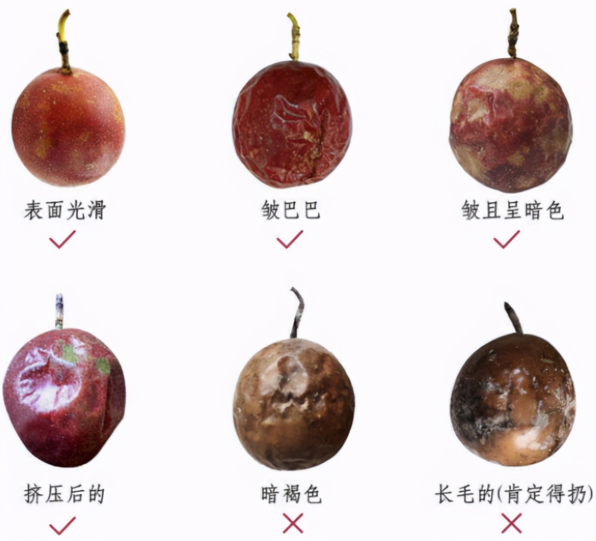 买来的百香果可以直接泡水吗,百香果买来就可以吃吗