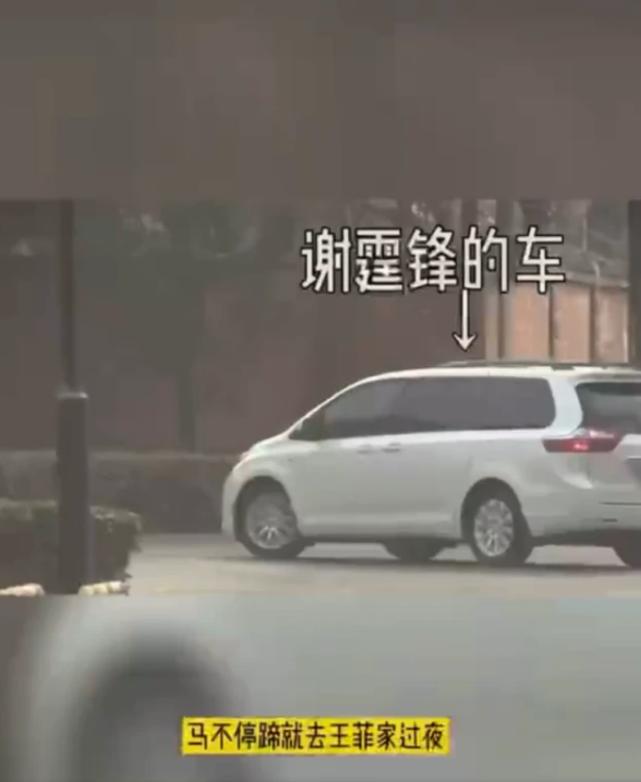 王菲谢霆锋再曝甜蜜照,王菲谢霆锋高调秀恩爱久违的同框