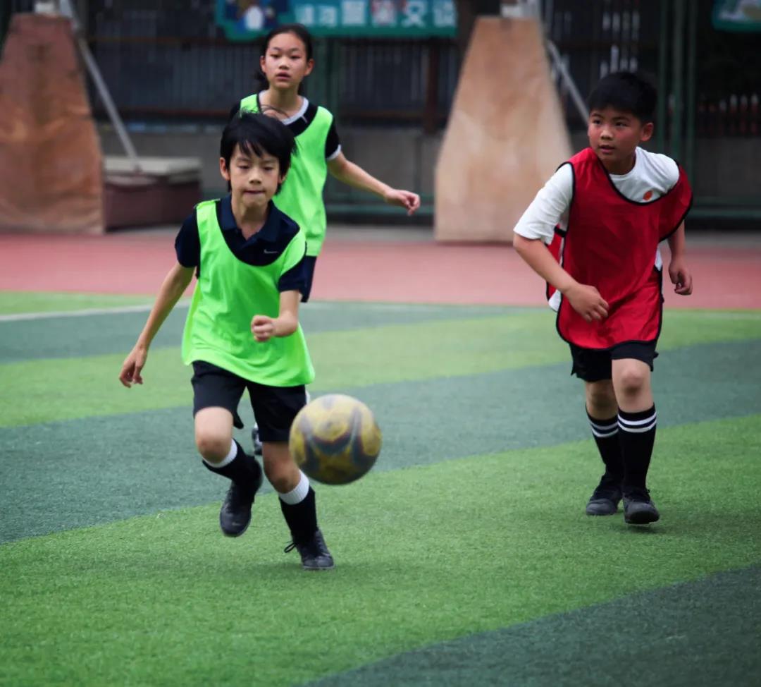 新闻周刊丨体育课数学老师教?当体育成为新“课时”以体育人如何破题?